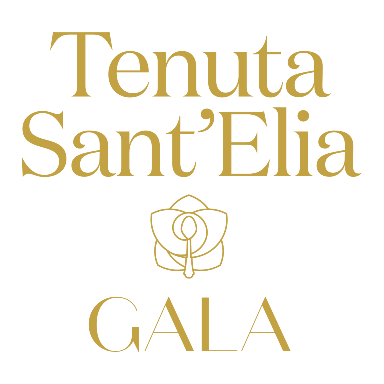 TENUTAELIA 1 768x768