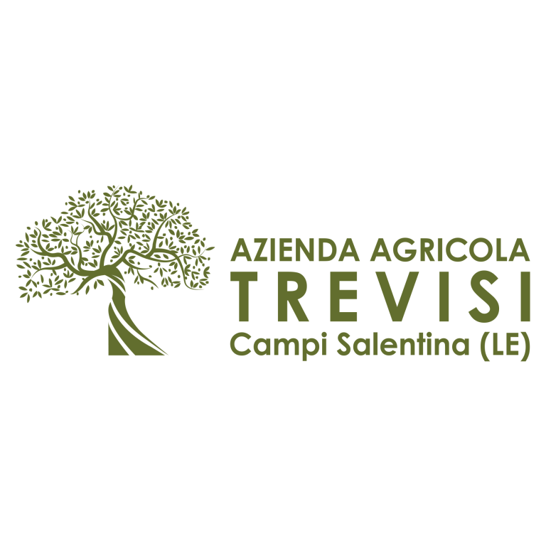 TREVISI 768x768