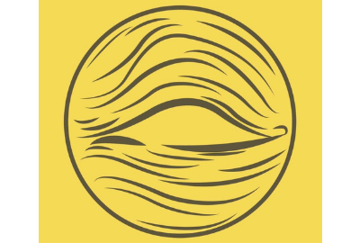 collediseta logo
