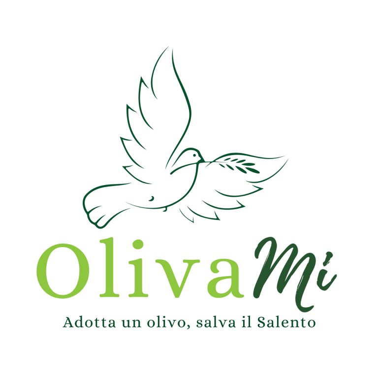 olivami 1 1 1 768x768